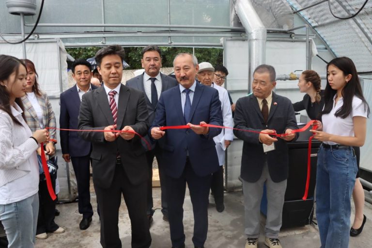 КНАУ состоялось открытие теплицы в рамках проекта «По распространению органического земледелия и развитию человеческих ресурсов в целях изучения технологий анализа почв и сельскохозяйственных культур на базе КНАУ»